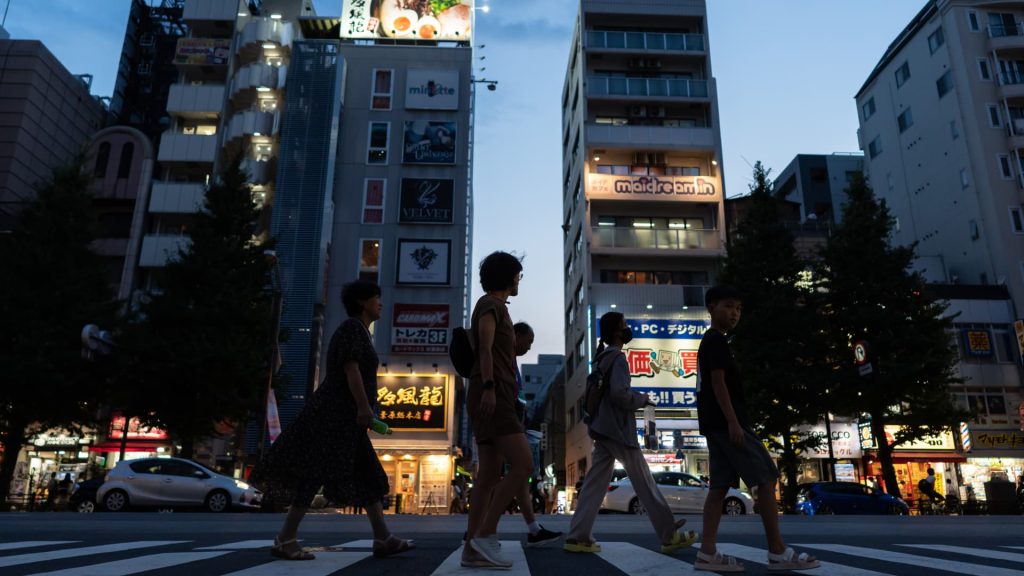 Japan parliamentary vote, Australia rare earth shares rise