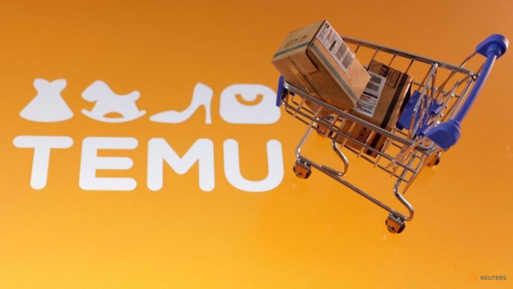 Turkey’s Horoz in delivery deal with Chinese online market Temu