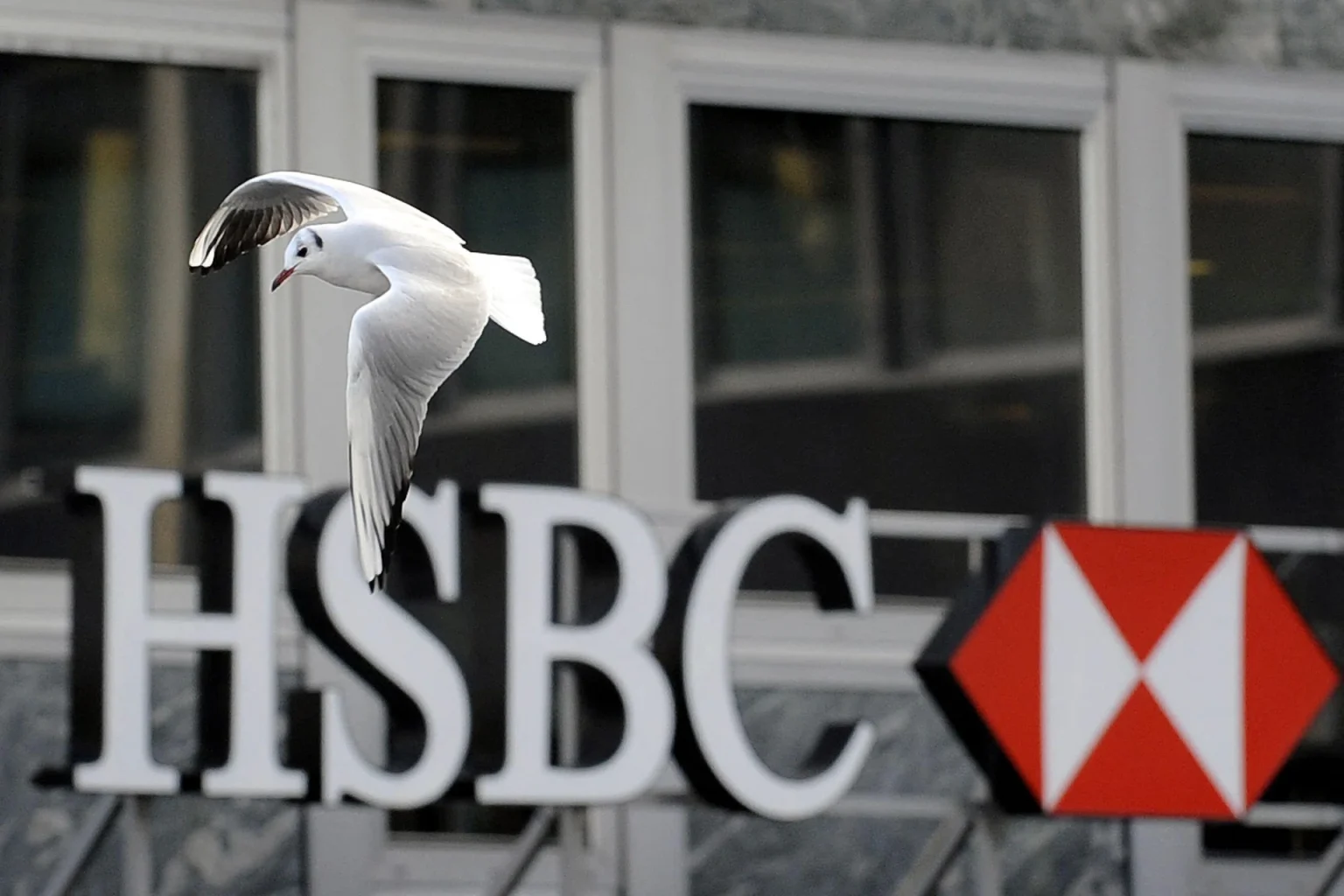 HSBC AM joins peers with private equity fund targeting wealthy
