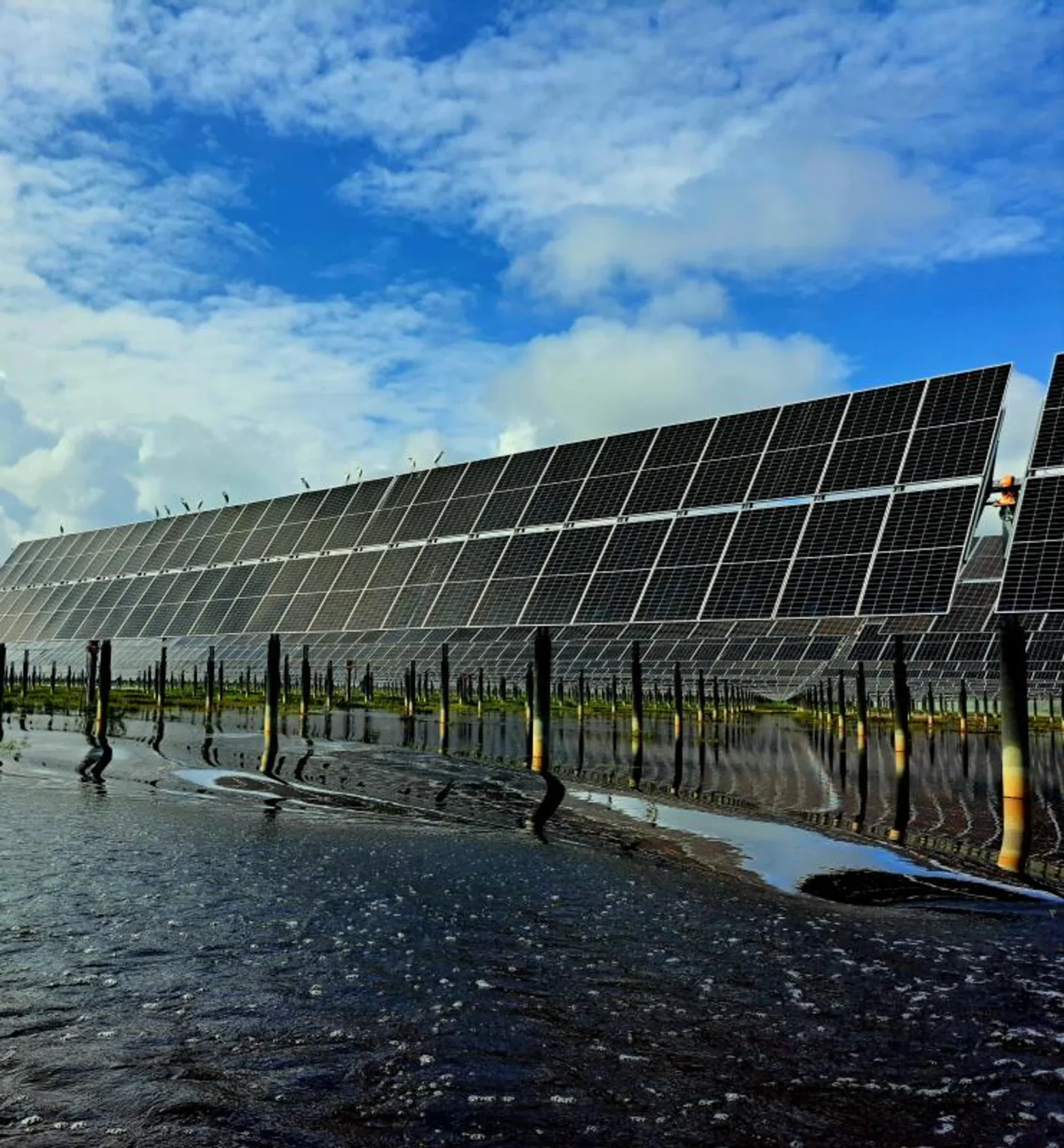 Malaysia approves 13 large-scale solar projects with capacity of 1,975 megawatts