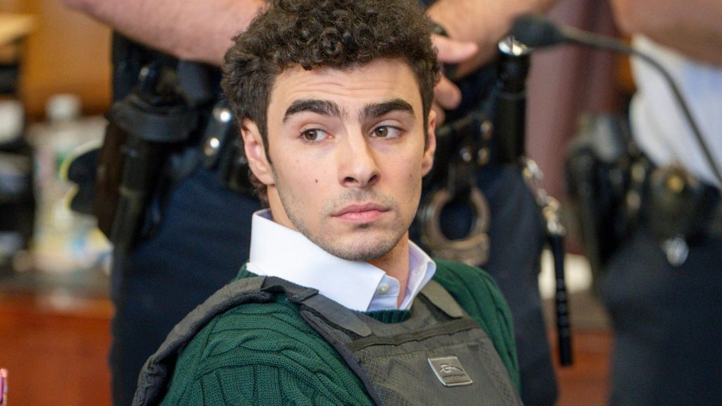 Shein investigates after likeness of accused killer Luigi Mangione used to model shirt on fashion giant’s website | World News