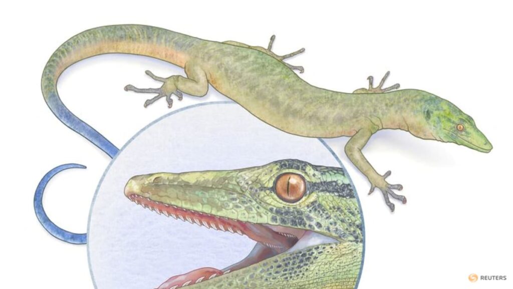 Enigmatic Jurassic reptile looks like a mix of snake and lizard