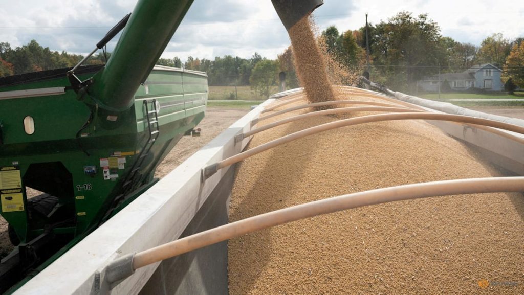 China imports no US soybeans in September for first time in seven years