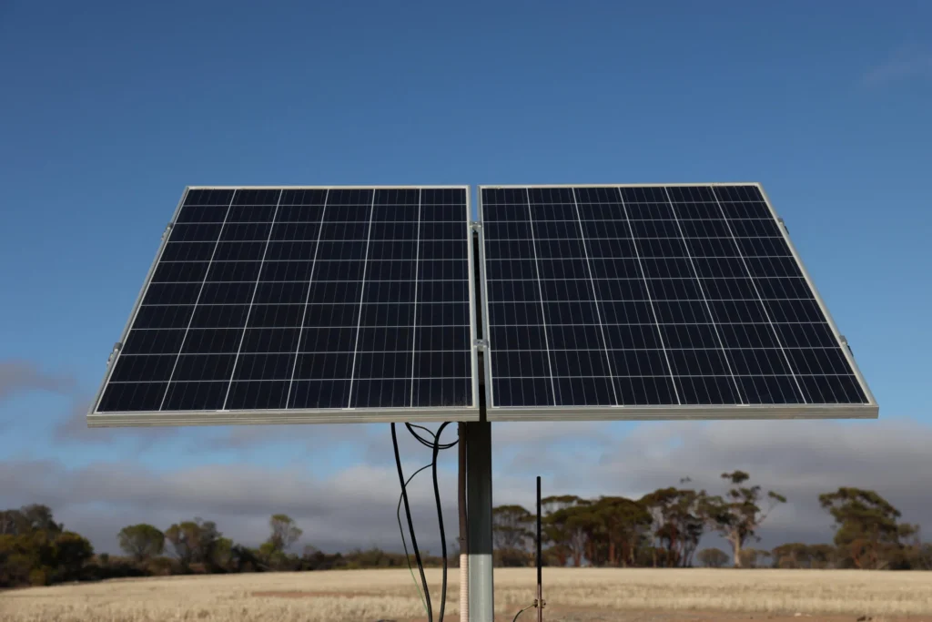 IEA trims renewables outlook as US policy shifts and China auction reforms weigh