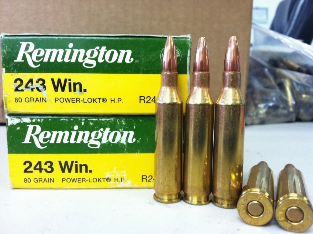 Top 5 Time-Tested Rifle Cartridges Perfect for Deer and Elk Hunting