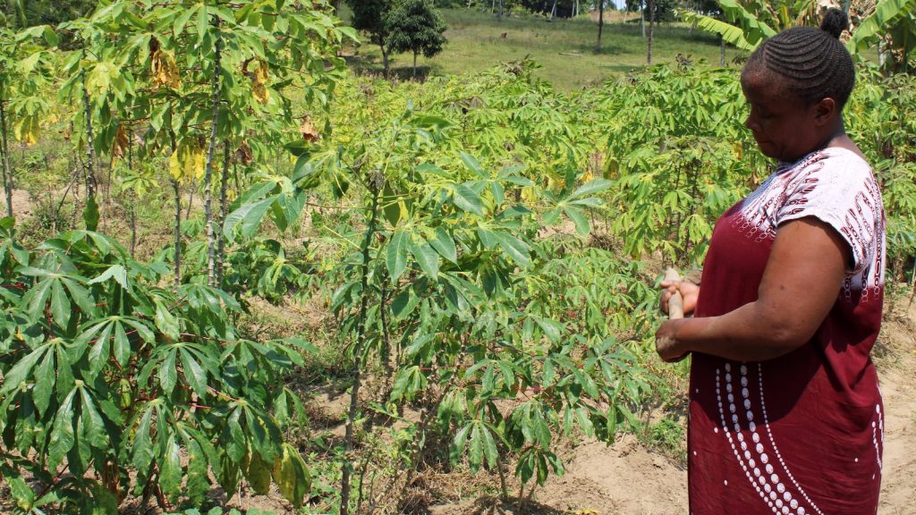 In Kenya, a search for links between a changing climate and mental health