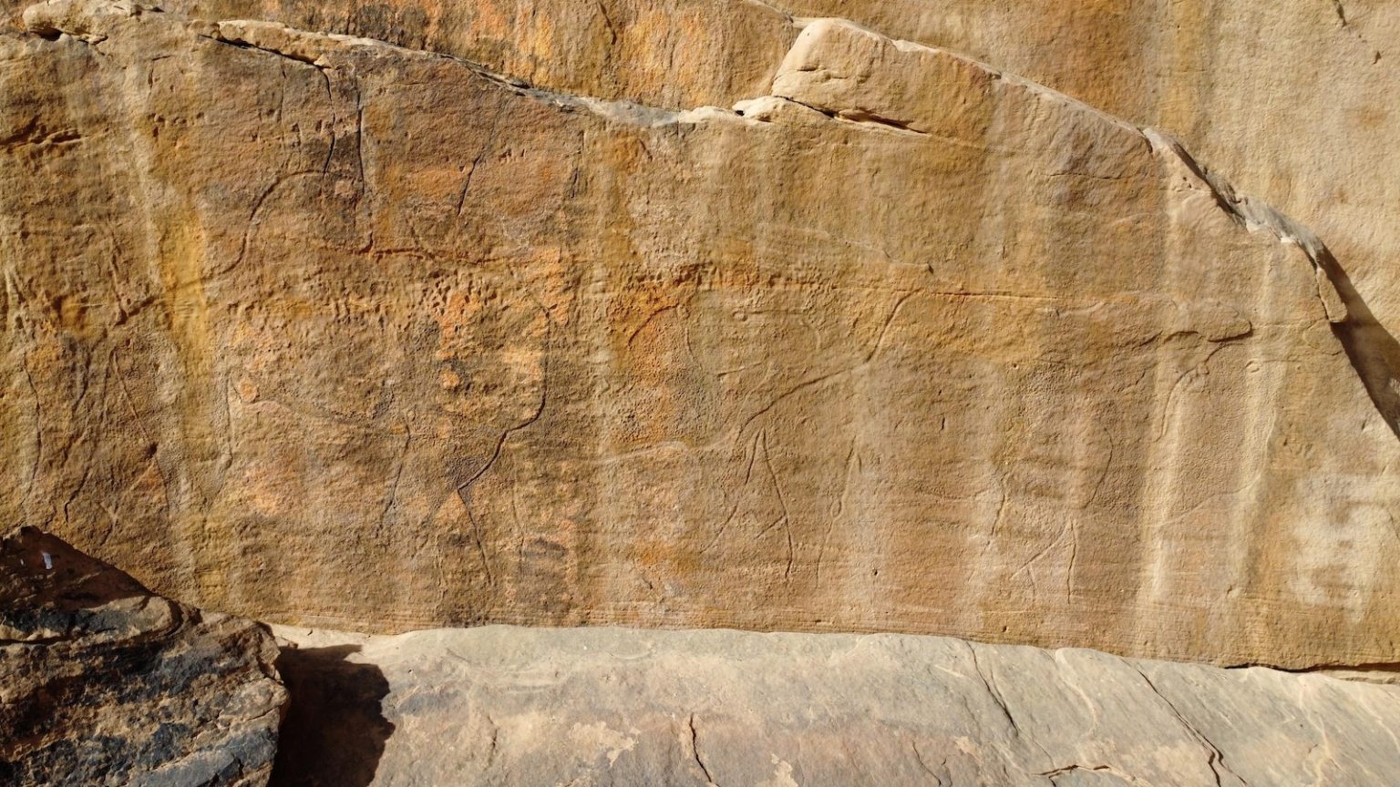 Scientists find ancient life-size animal rock carvings in the Saudi Arabian desert