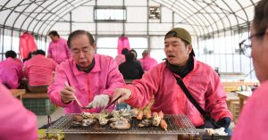 These Japanese Oyster Farmers Know How to Throw a Good Party, and Everyone Is Invited