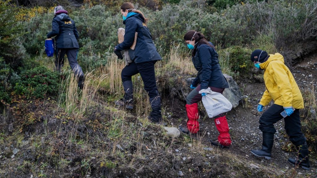 Argentina expands hantavirus probe, sending teams to trap and test rats in Mendoza