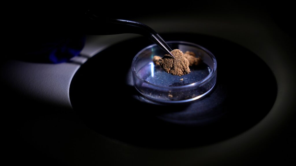 Brazil uses forensic science to trace gold’s origin and tackle illegal mining in the Amazon
