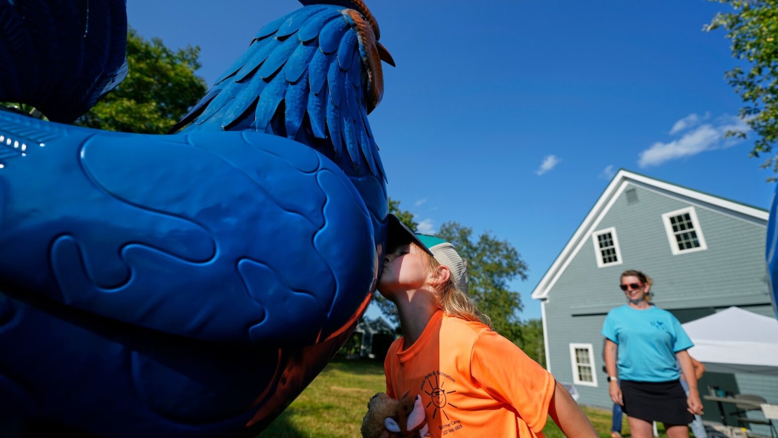Giant metal roosters spread autism acceptance in Maine after town zoning spat