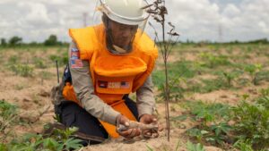 Donor fatigue guts demining in Asia, as active conflicts draw away funding