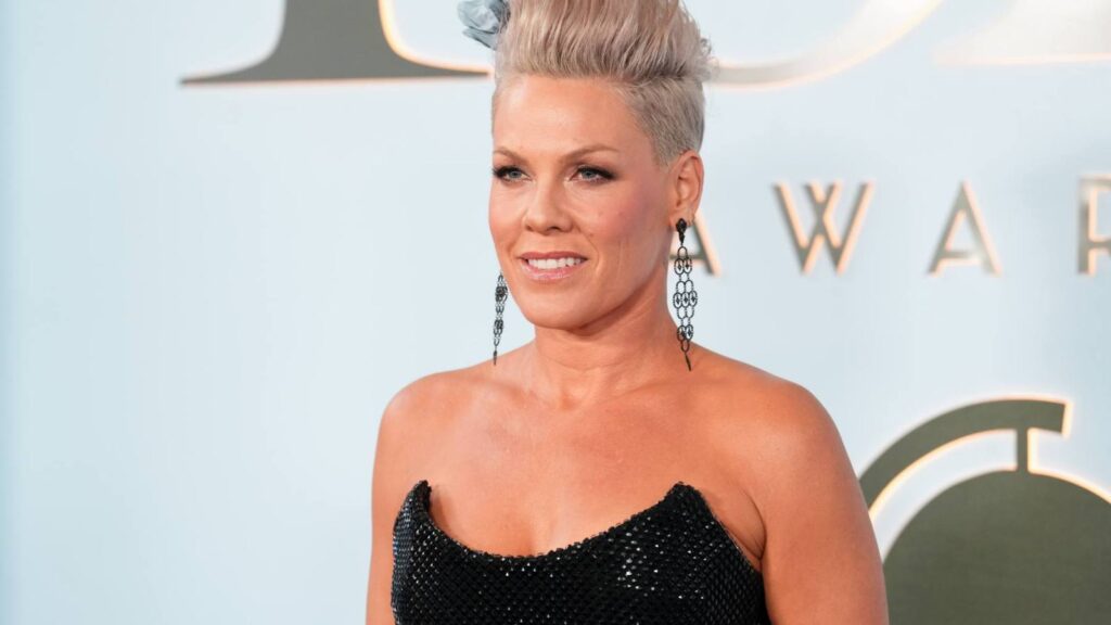 Pink Responds to Backlash After Sharing Post on Macklemore Speech