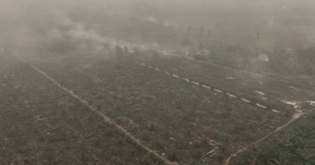 Why is the haze so bad in South-east Asia this year?