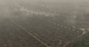 Why is the haze so bad in South-east Asia this year?