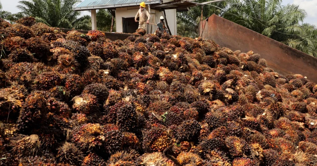 Malaysia sees 2027 palm output declining, announces support measures